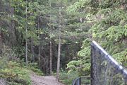 16 - Maligne Canyon, Medicine Lake, Maligne Lake - IMG_1101